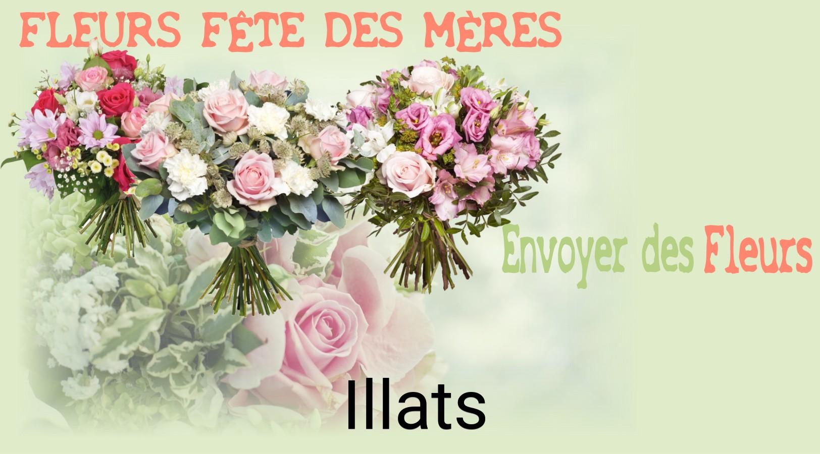 Bouquet de Fête des Mères livré à Illats